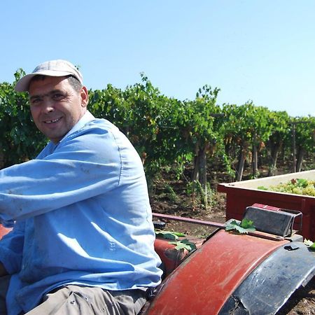 Agriturismo Torre Cristina أبريليا المظهر الخارجي الصورة