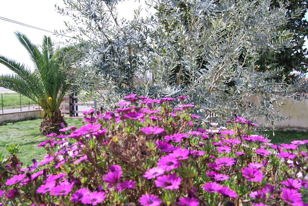 Agriturismo Torre Cristina أبريليا المظهر الخارجي الصورة