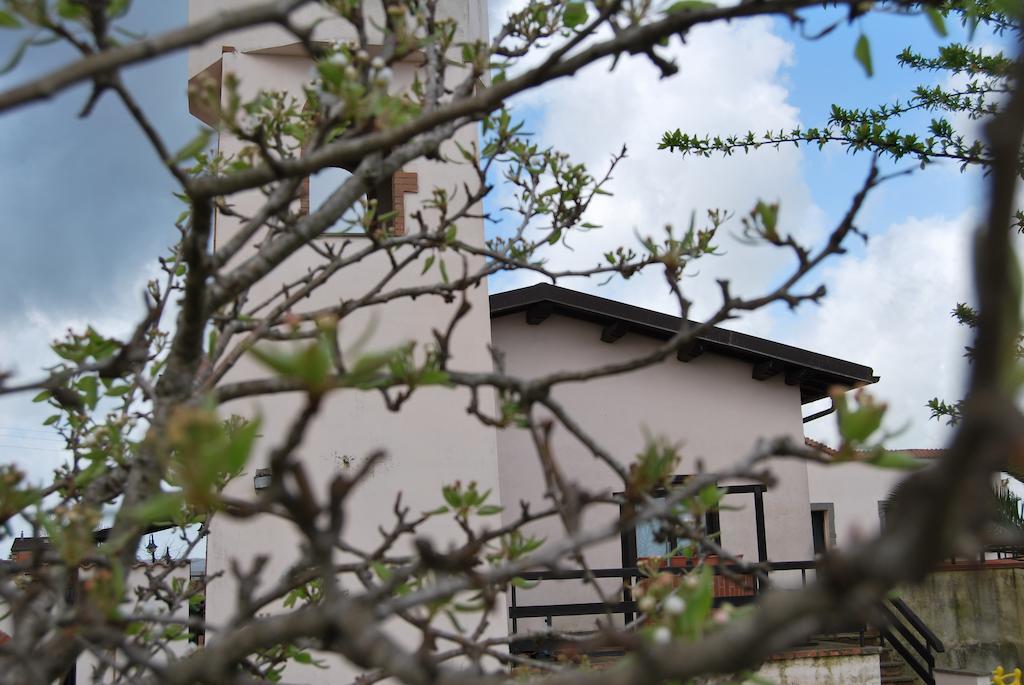 Agriturismo Torre Cristina أبريليا المظهر الخارجي الصورة