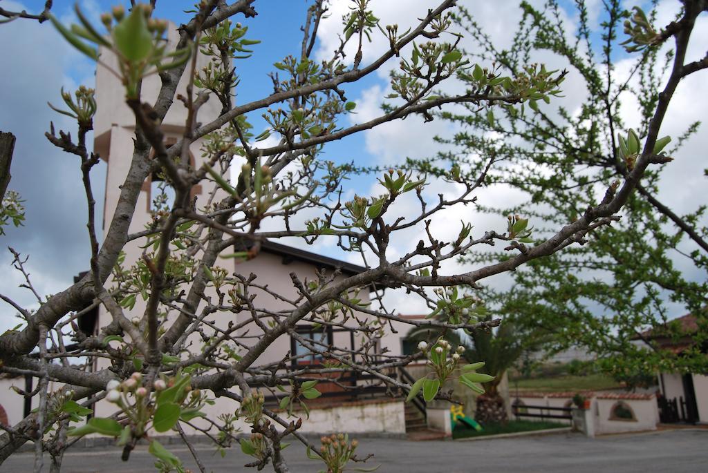 Agriturismo Torre Cristina أبريليا المظهر الخارجي الصورة
