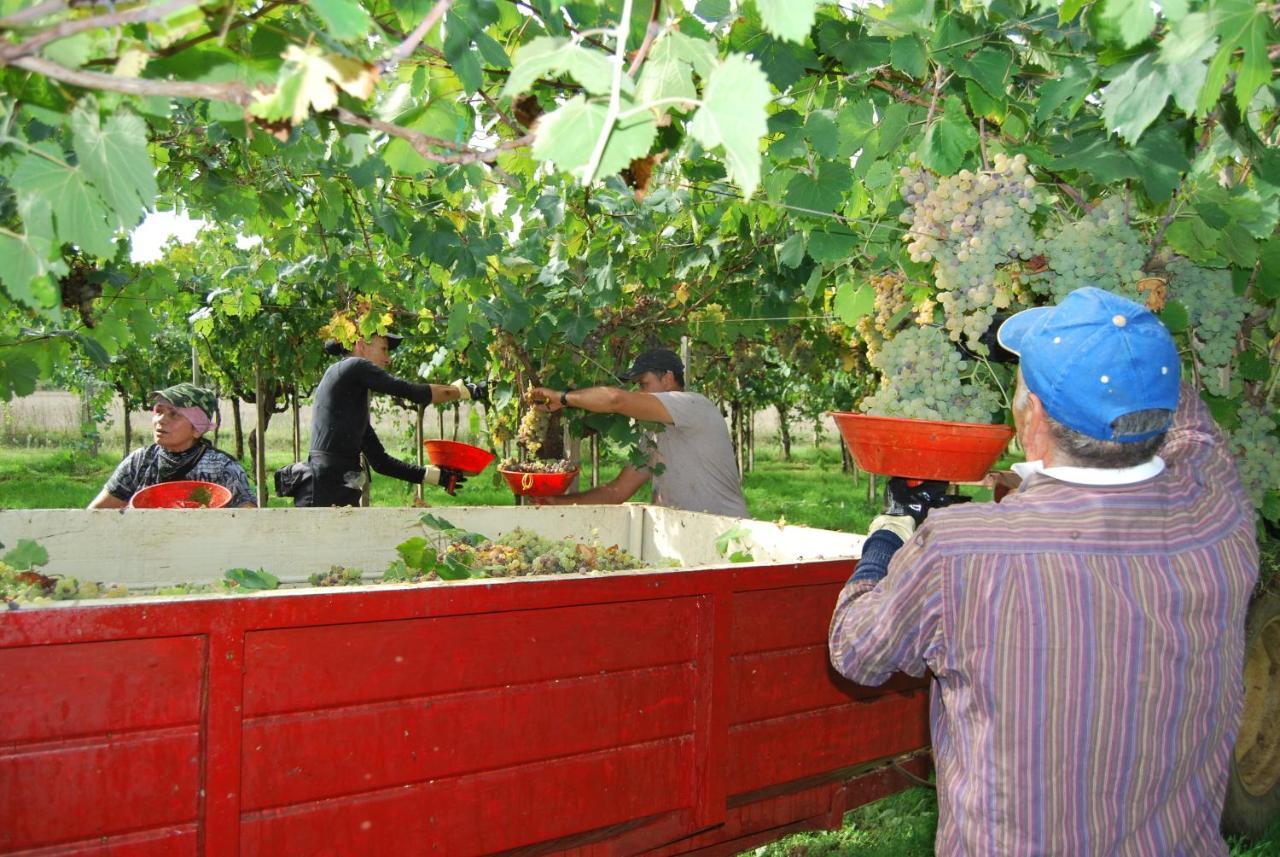 Agriturismo Torre Cristina أبريليا المظهر الخارجي الصورة